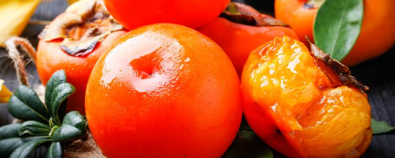 柿子树品种介绍