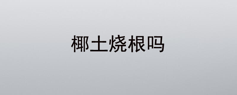 椰土烧根吗