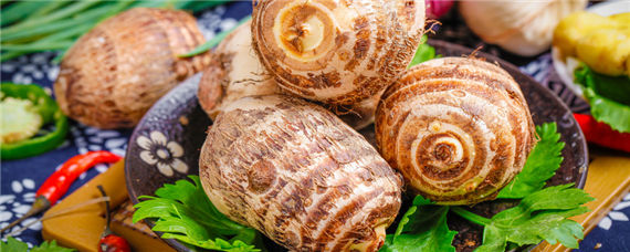 芋头什么时候施肥最适宜