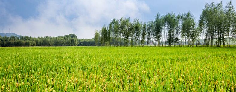 河谷农业主要分布地区