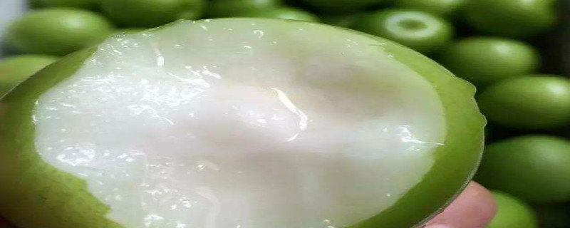 牛奶枣和冬枣的区别