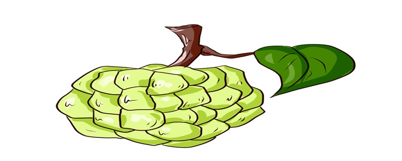 蕃荔枝多久挂果