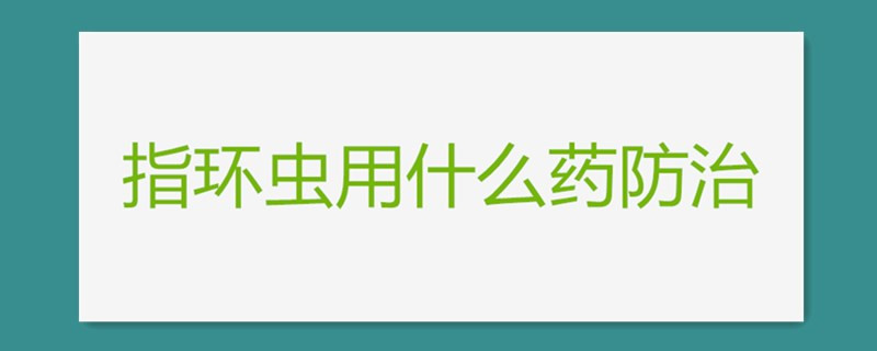 指环虫用什么药防治