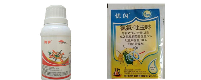 氯氟吡虫啉的作用