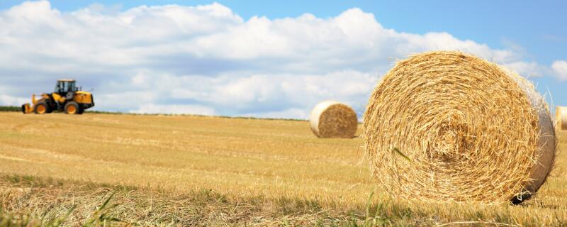 秸秆是什么农作物