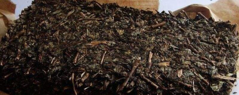 黑茶什么人不能喝