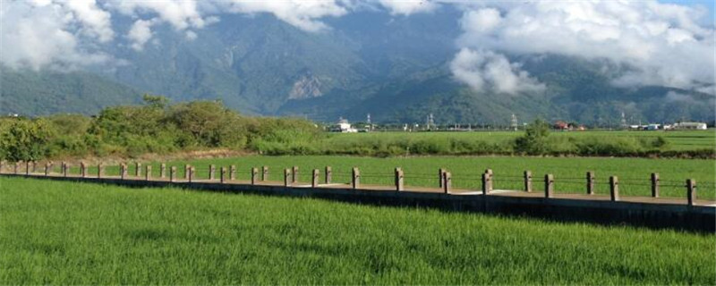 台湾农业主要分布在