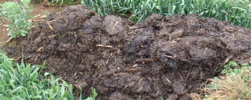 厩肥怎么施肥