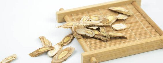 白鲜皮种子的催芽方法