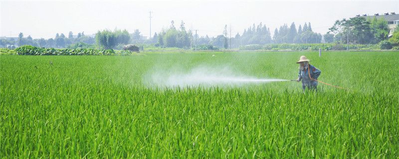 用什么可以洗掉农药