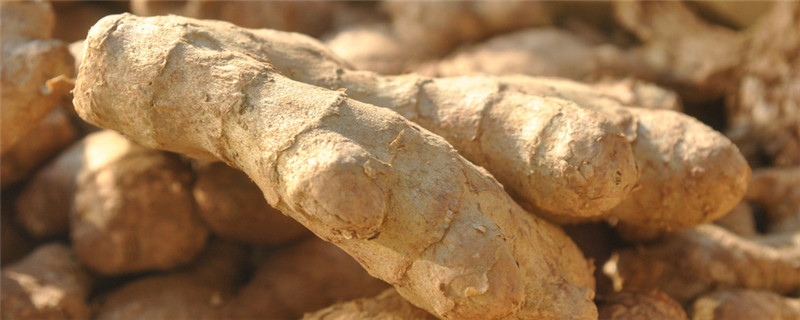 大姜春季种植注意事项