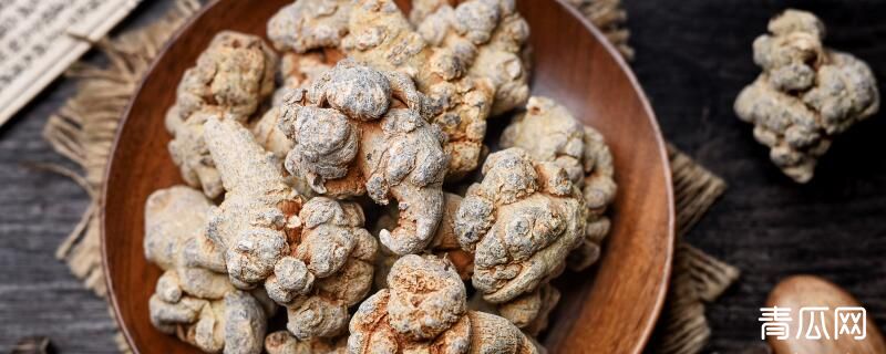 三七盆栽种植注意事项