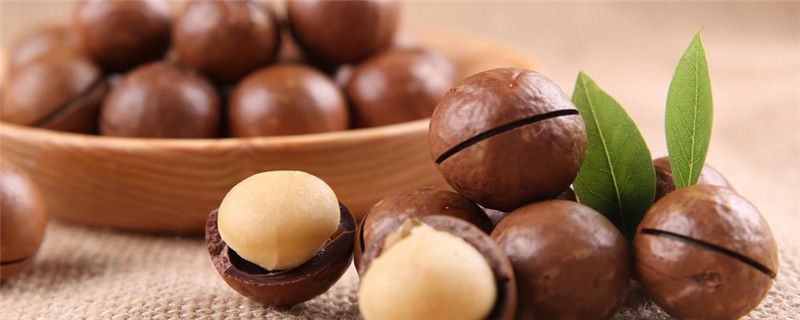夏威夷果生长在哪里