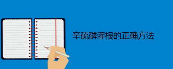 辛硫磷灌根的正确方法