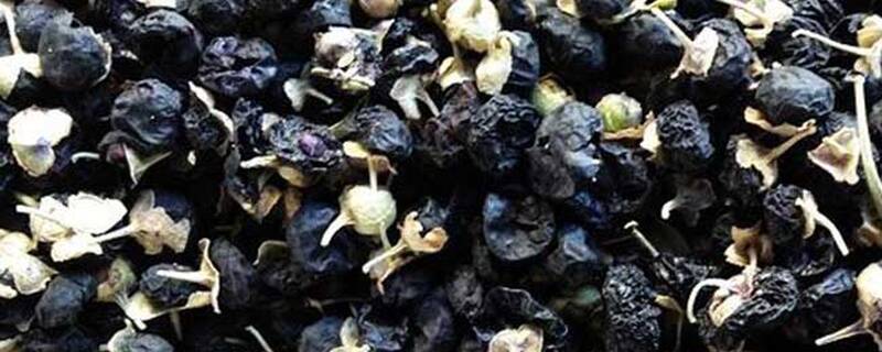 黑枸杞产自哪里