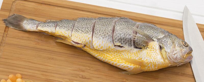 钓黄鱼用什么饵