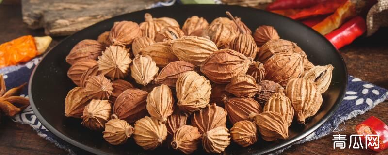 砂仁是果实还是种子