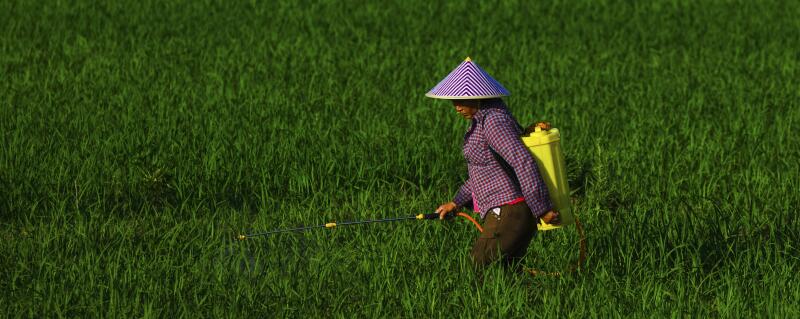 高氯啶虫脒主要杀什么