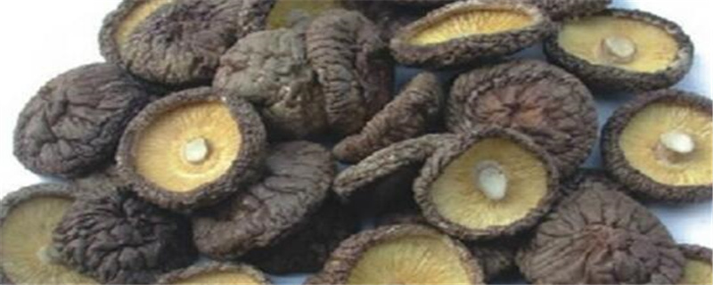 金钱菇和花菇的区别