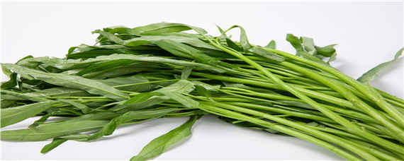 空心菜种子快速催芽方法