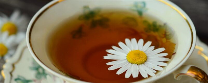 泡什么茶去火