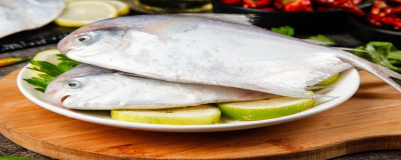 鲳鱼是枪鱼吗