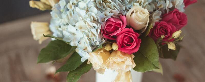 花浇水浇多了怎么办