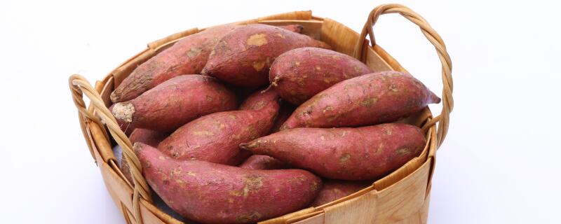 红薯裂口用什么药