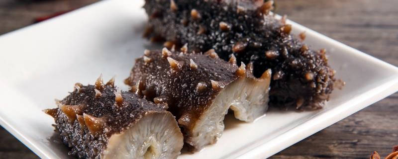 金沙参和海参的区别