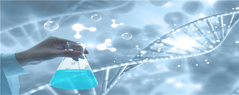 石硫合剂涂干使用方法