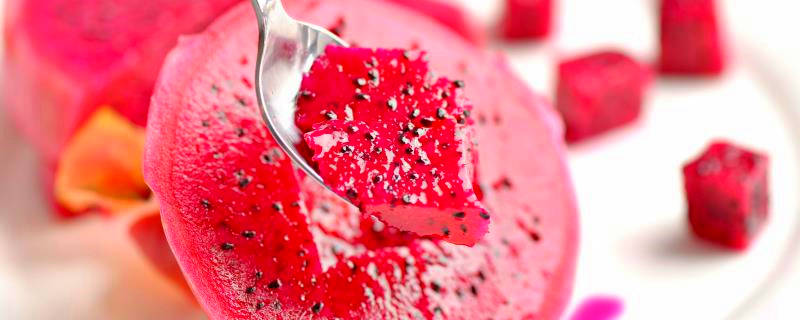 红心火龙果产地