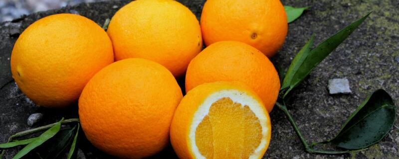 褚橙产地在云南哪里