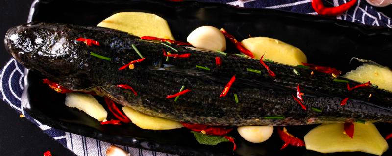 黑鱼的生活环境及特点