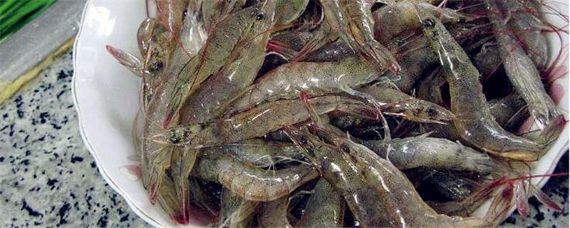 河虾晚上靠岸原因