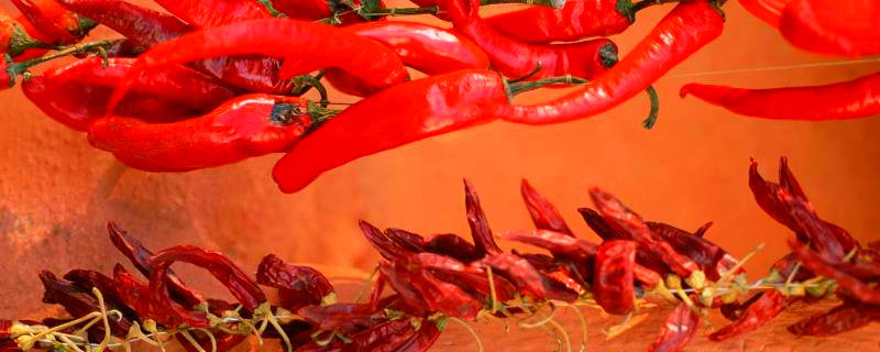 红辣椒怎么晒干