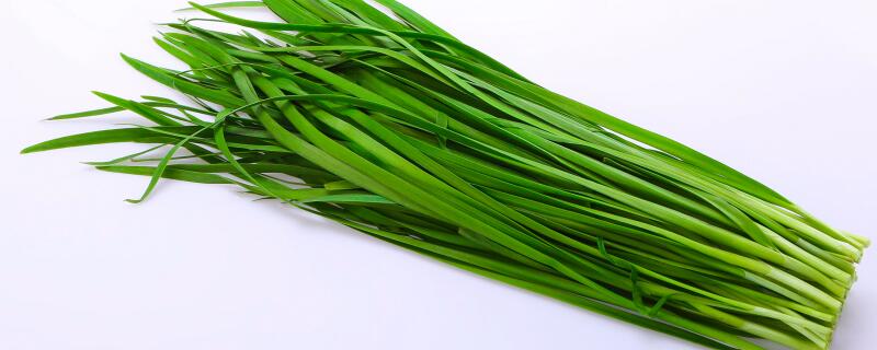 韭菜最后一次收割时间