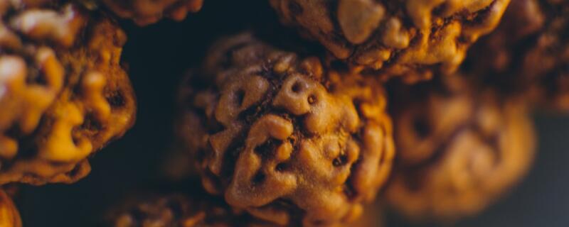 菩提是什么树的果实