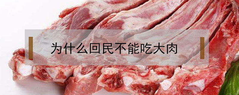 为什么回民不能吃大肉