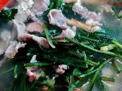 蒲公英瘦肉汤的功效与作用