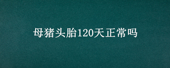 母猪头胎120天正常吗