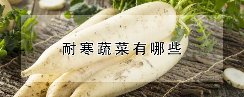 耐寒蔬菜有哪些