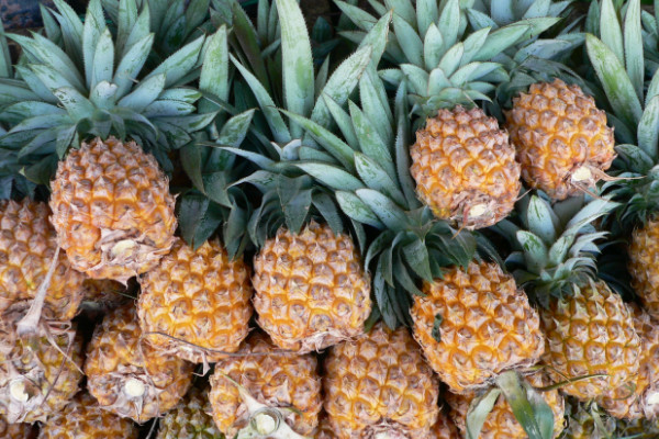 凤梨和菠萝的区别,品种/叶片/果皮/口感不同