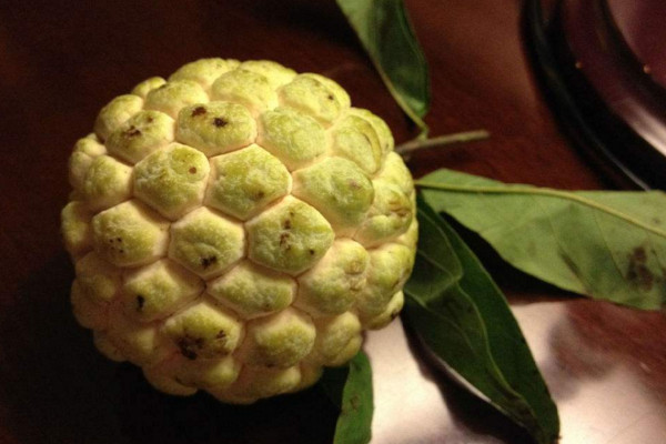 释迦果催熟方法,自然催熟/调节剂催熟/水果催熟