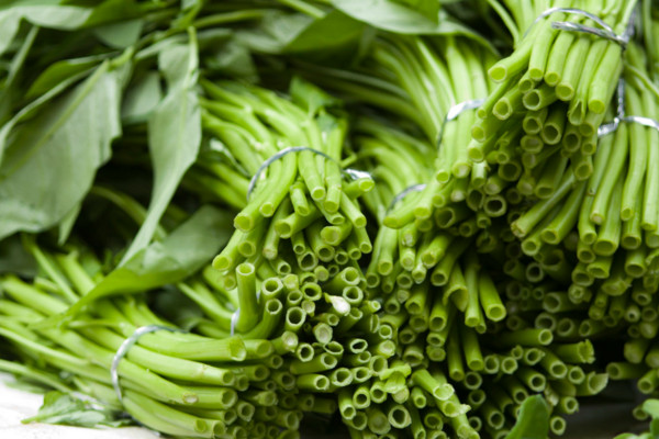 空心菜种植时间和方法,种植时间在4~8月份之间