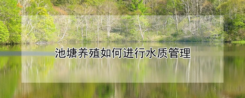 池塘养殖如何进行水质管理