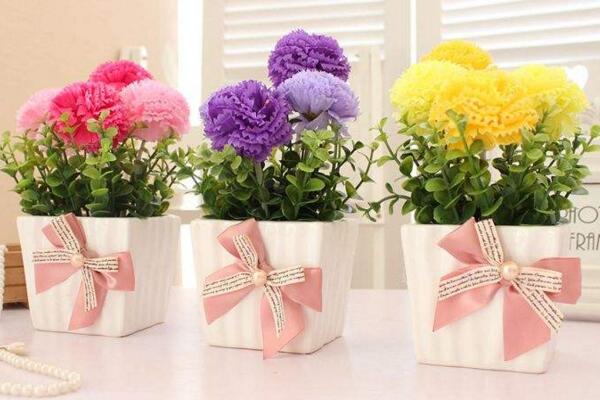 八仙花怎么养,八仙花日常养护5大要点