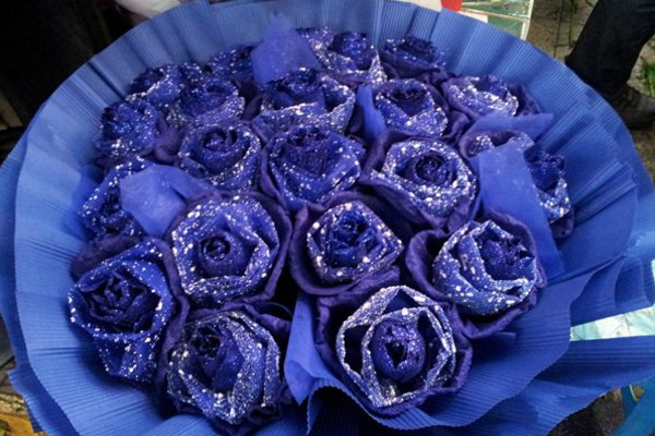 蓝色妖姬怎么保存,可以直接将它插入花瓶当中