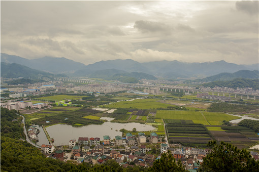 农村集体土地租赁合同最长几年？被占用怎么拿回