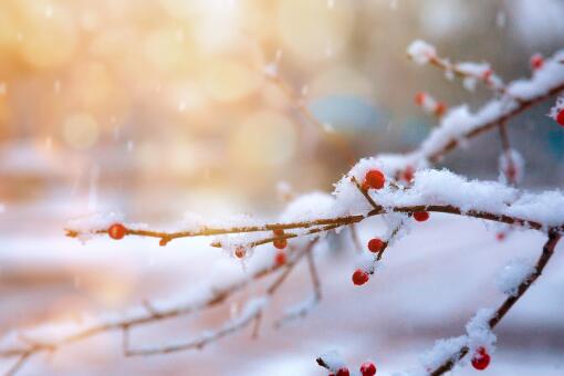 北京门头沟灵山飘雪花！具体是怎么回事？五一天气如何？附详情！