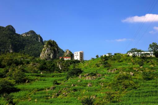 建设项目用地和林地怎么审批？自然资源部关于建设项目用地审查和林地审核工作通知来了！